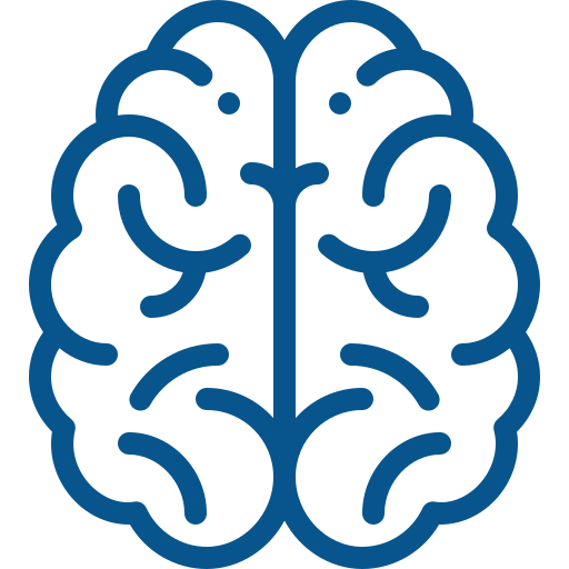 Brain organ Benefits Breakdown