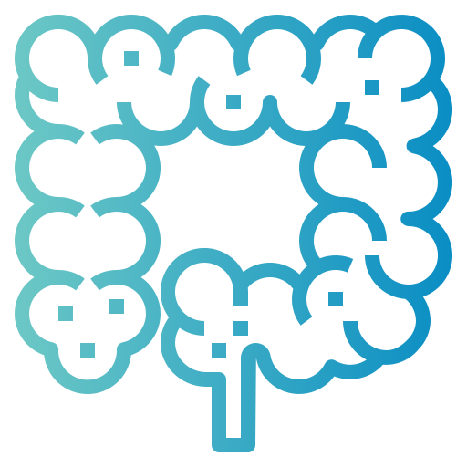 Digestion Support Benefits Breakdown