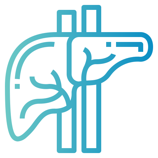Liver Support benefits breakdown